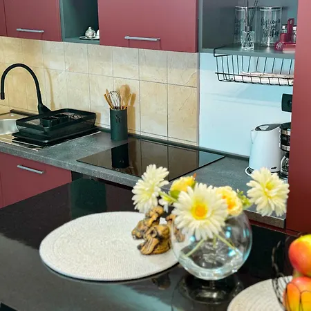 公寓 Mandic 杜布罗夫尼克